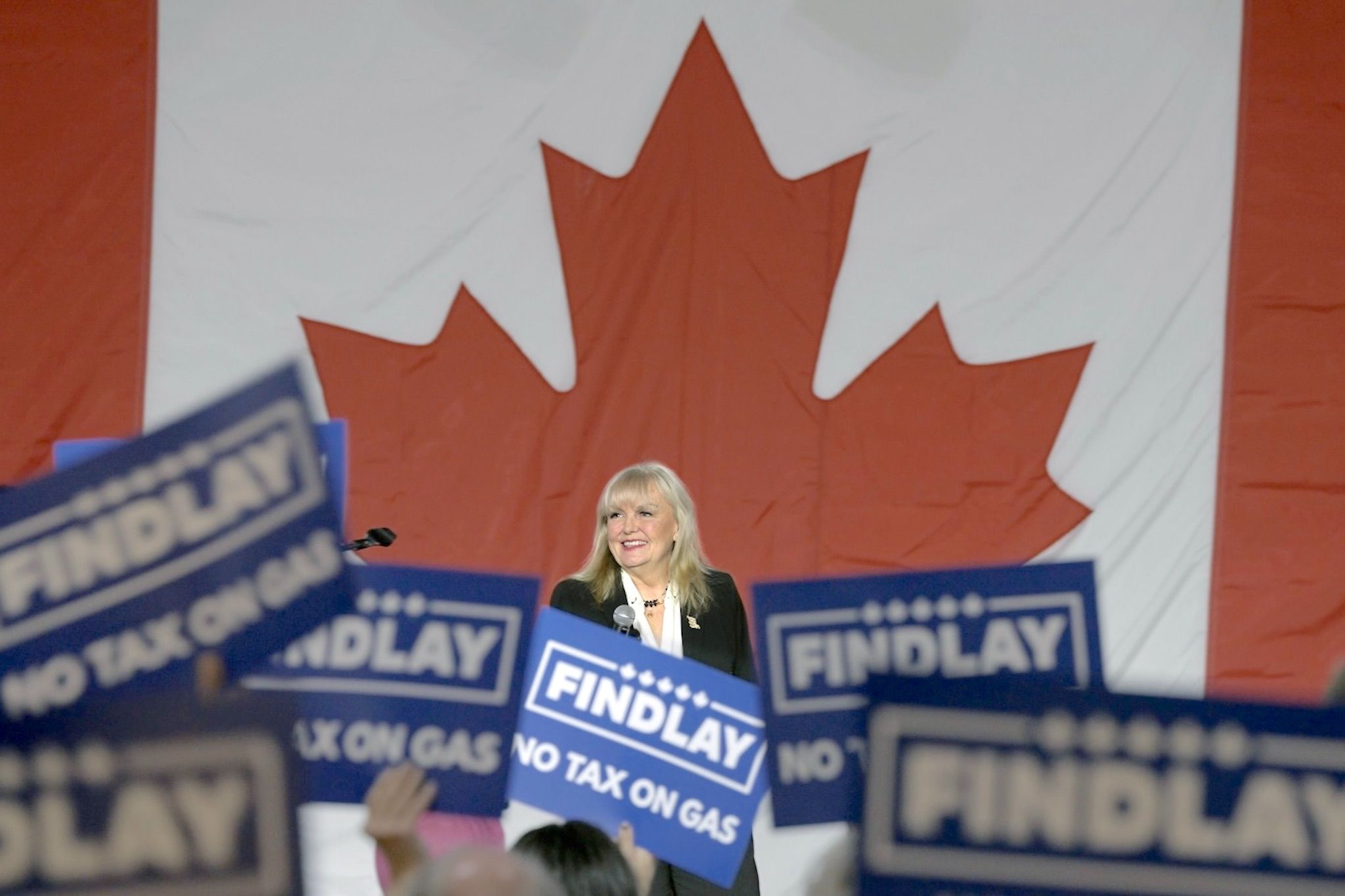 Kerry-Lynne Findlay resigns as BC Conservative leader, citing internal conflict and a distraction from opposition work