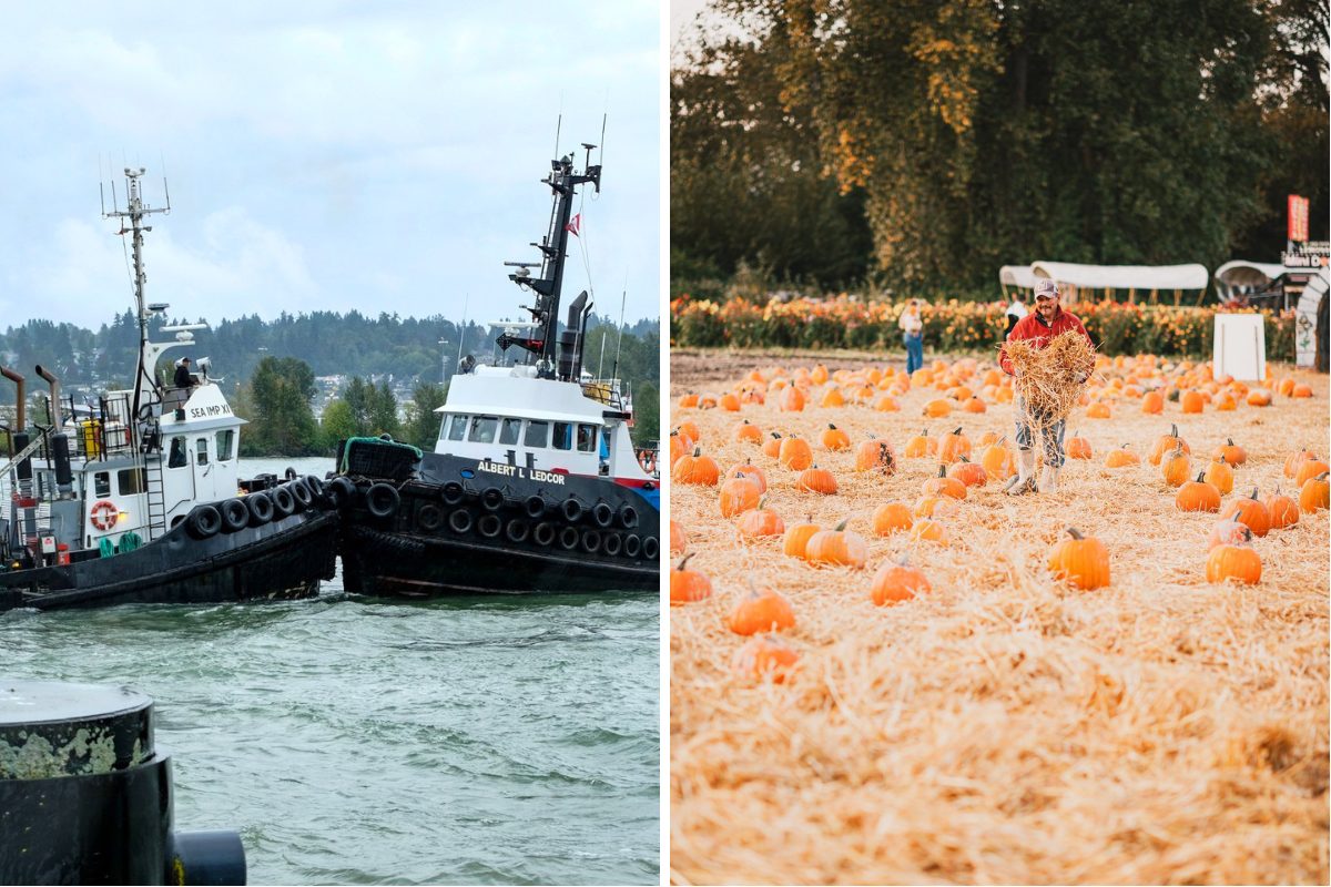 Pumpkin patches, haunted houses and family outings: Metro Vancouver weekend guide (Sept 25–27)