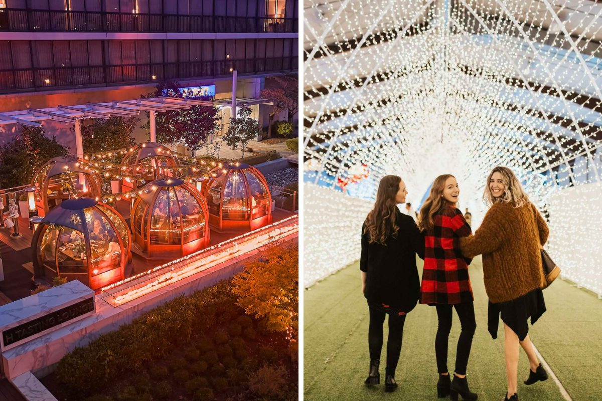Festive light displays, markets and family shows highlight what to do in Metro Vancouver this November