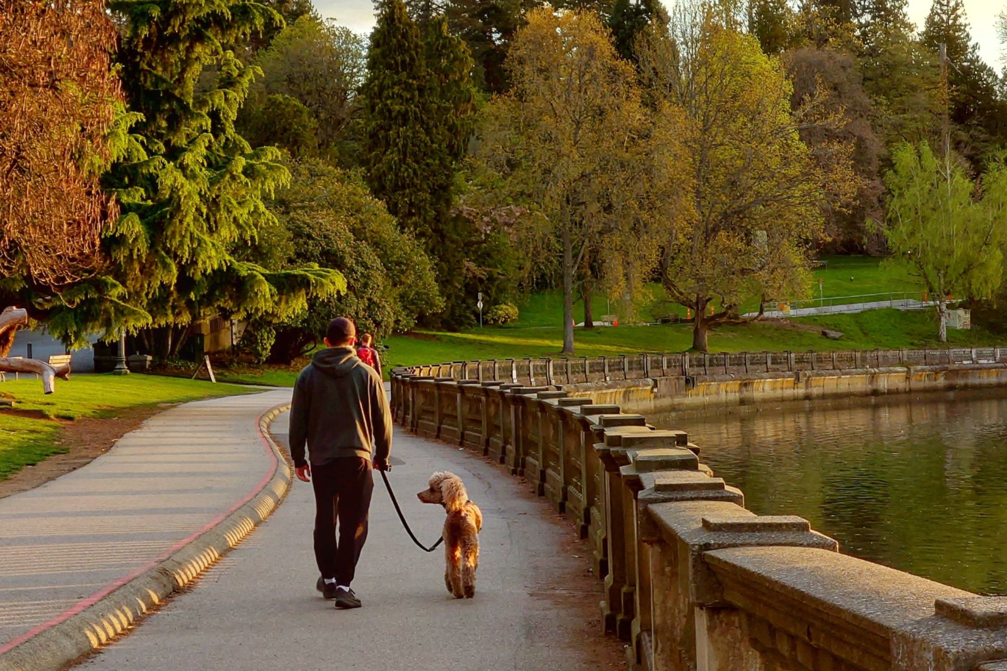 Vancouver ranks first among Canadian cities for dog walks, with a walk score of 79.8