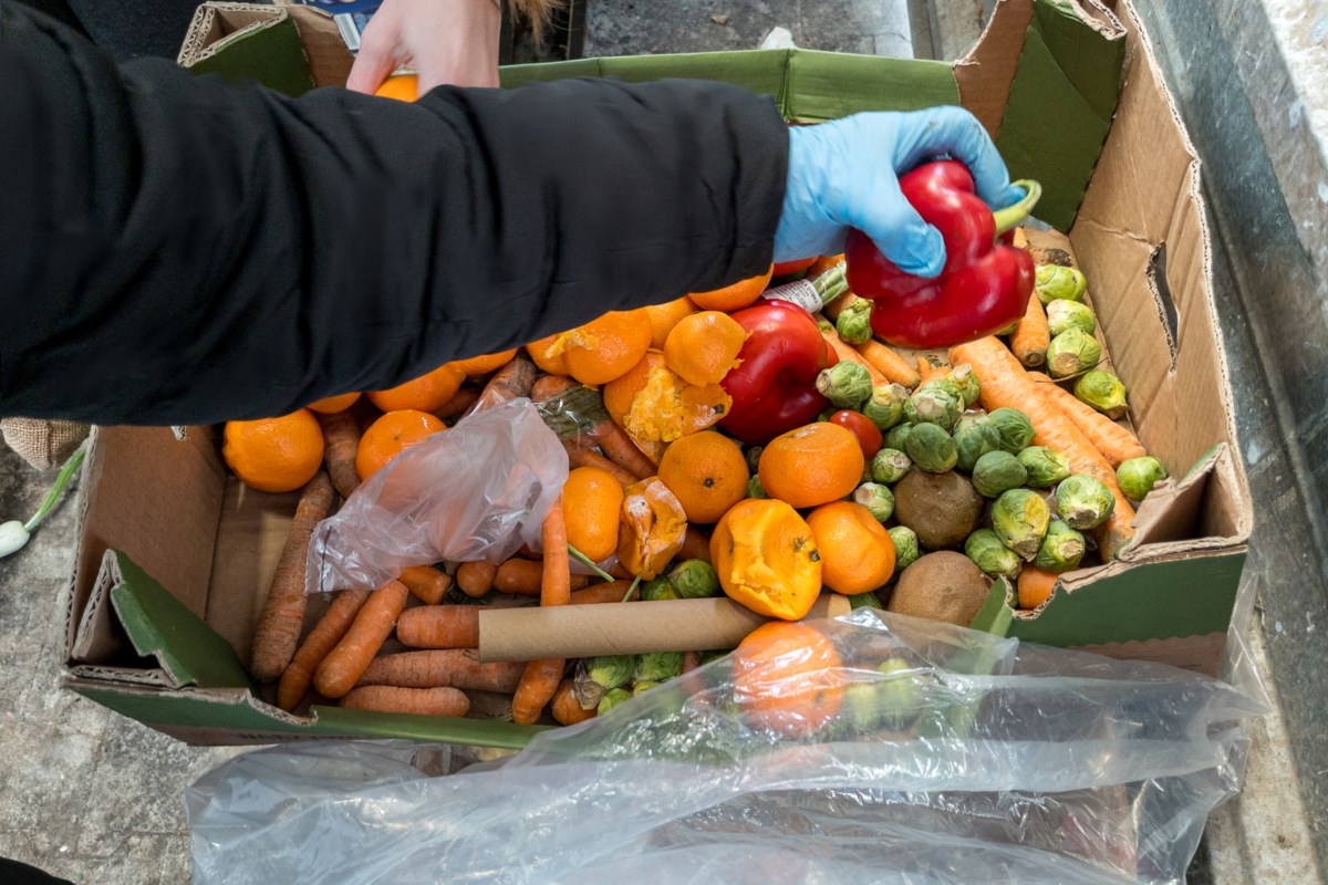 Food-rescue groups invest in processing capacity to cut waste and expand access to student meals