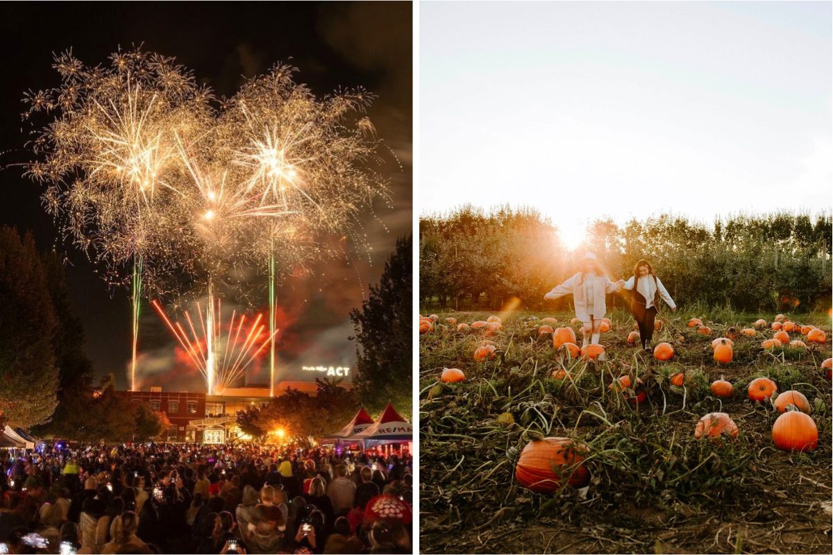 What to do in Metro Vancouver in October: pumpkin patches, haunted nights, markets and fall family events