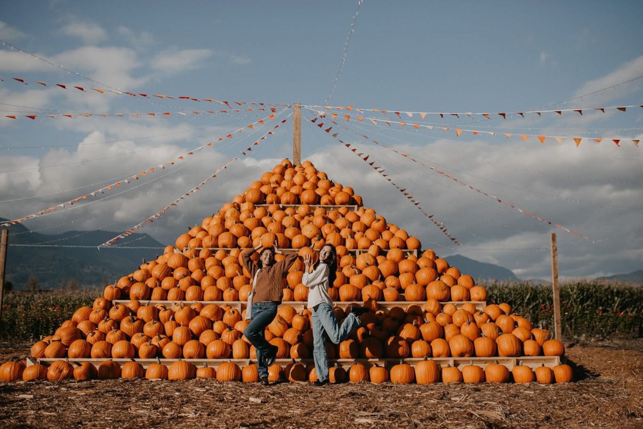 13 pumpkin patches near Vancouver open from late September to early November 2026