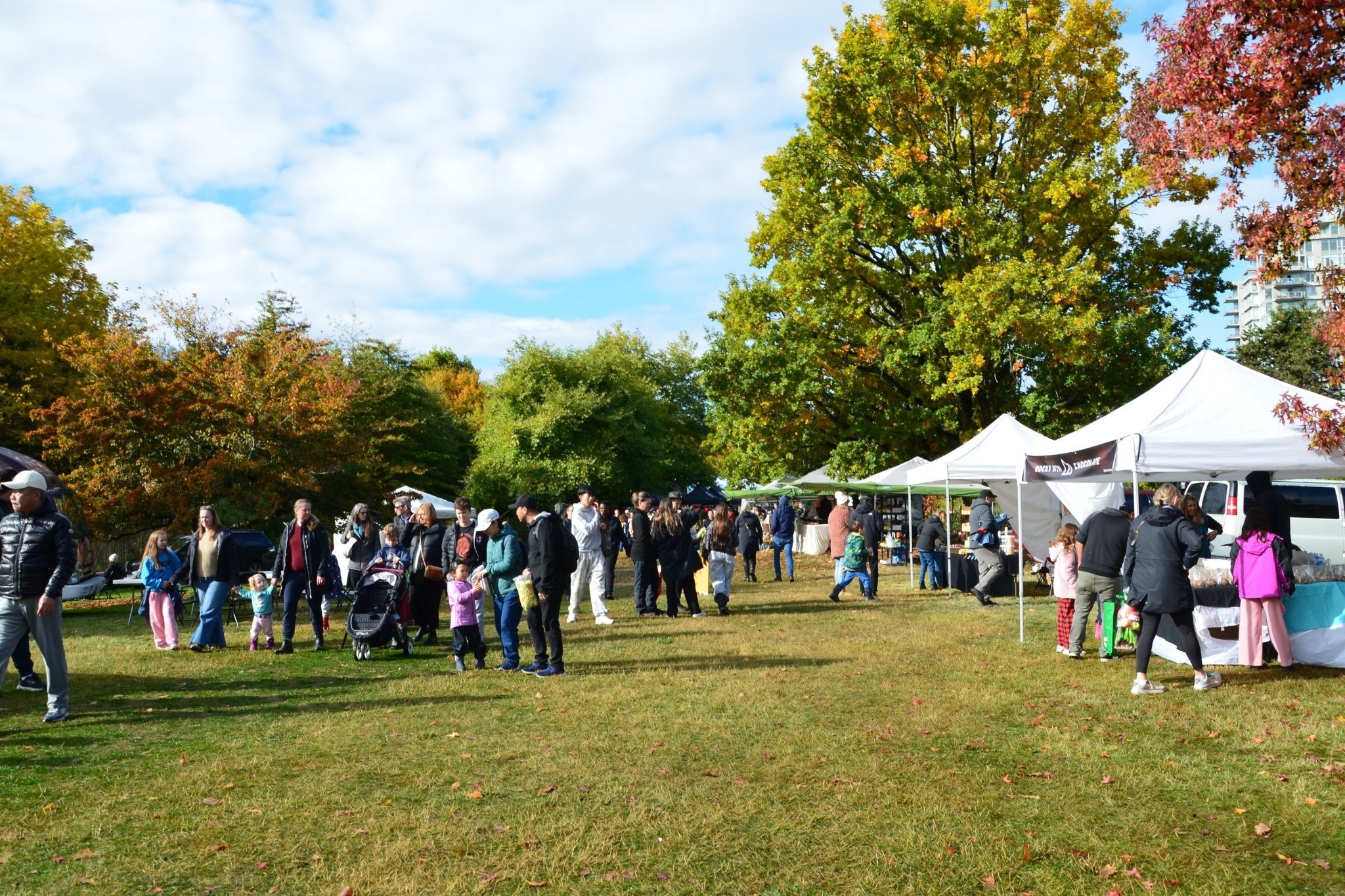 UBC Botanical Garden Apple Festival returns for 35th anniversary Oct. 17–18 with 50+ apple varieties