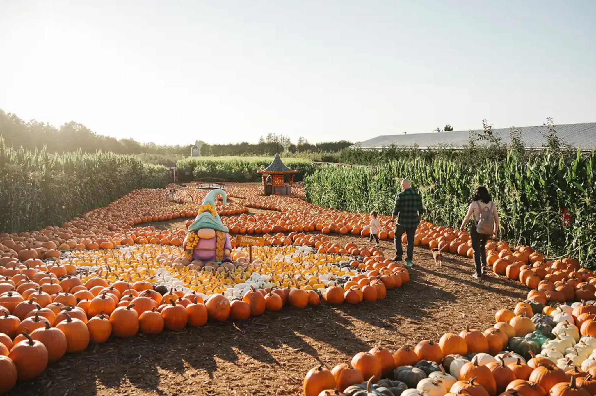 Fall 2026 in Metro Vancouver: 10 highlighted events for film, Halloween fun, food and community