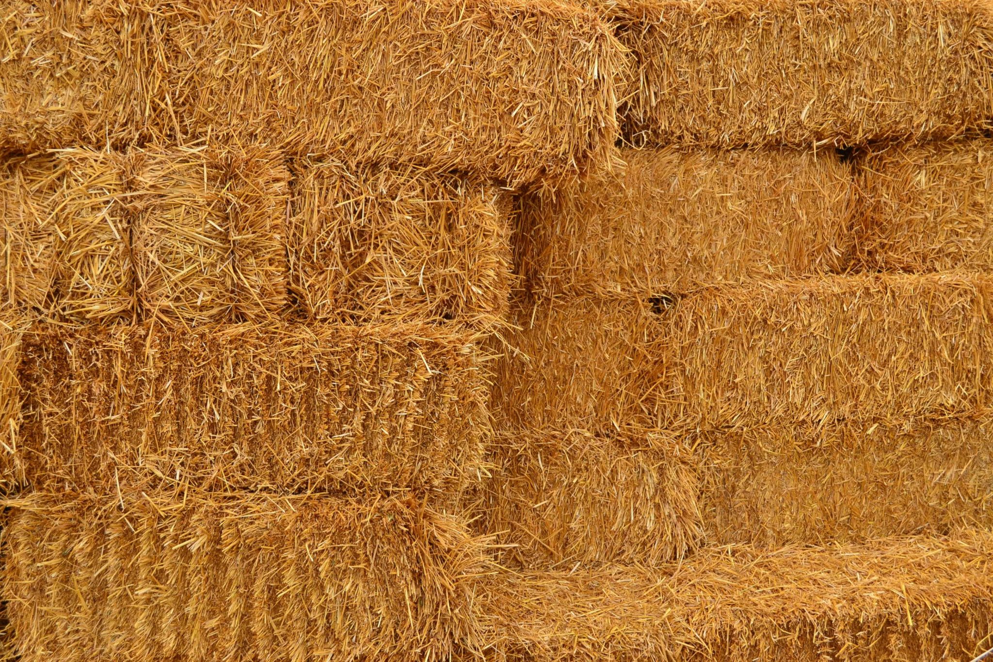 B.C. tribunal dismisses claim over dusty, mouldy hay sold to equestrian facility