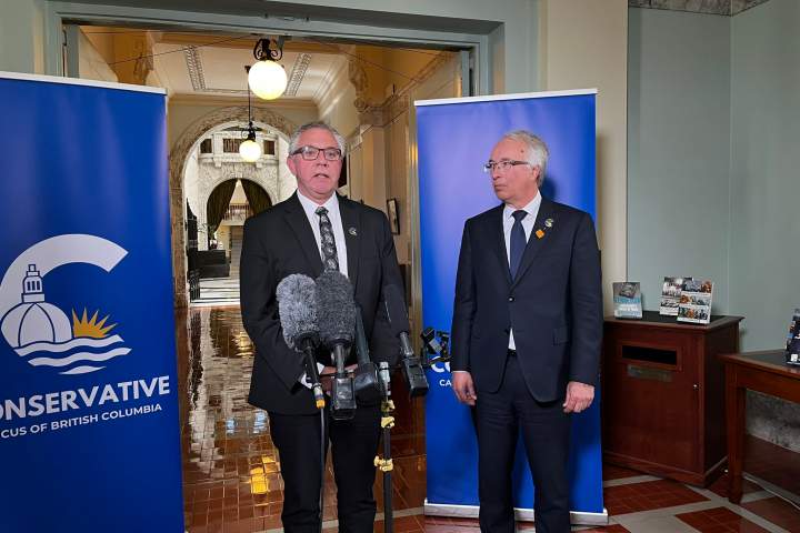 BC Conservatives interim leader says party is ready for snap election as MLAs return to caucus