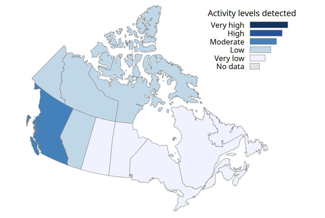 B.C. reports moderate flu activity as influenza A leads cases across Canada