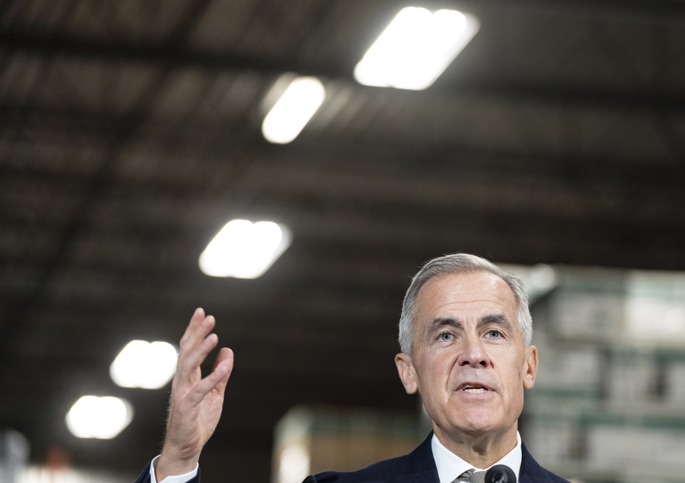 Carney says Ottawa will consider arm’s-length panel advice before deciding SKS rifle status