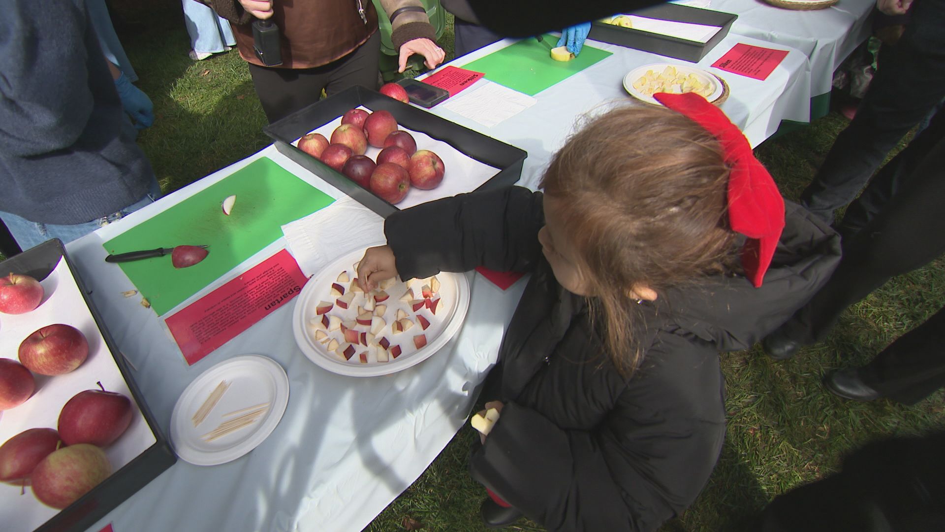 UBC holds 35th annual Apple Festival at Botanical Garden on Sunday
