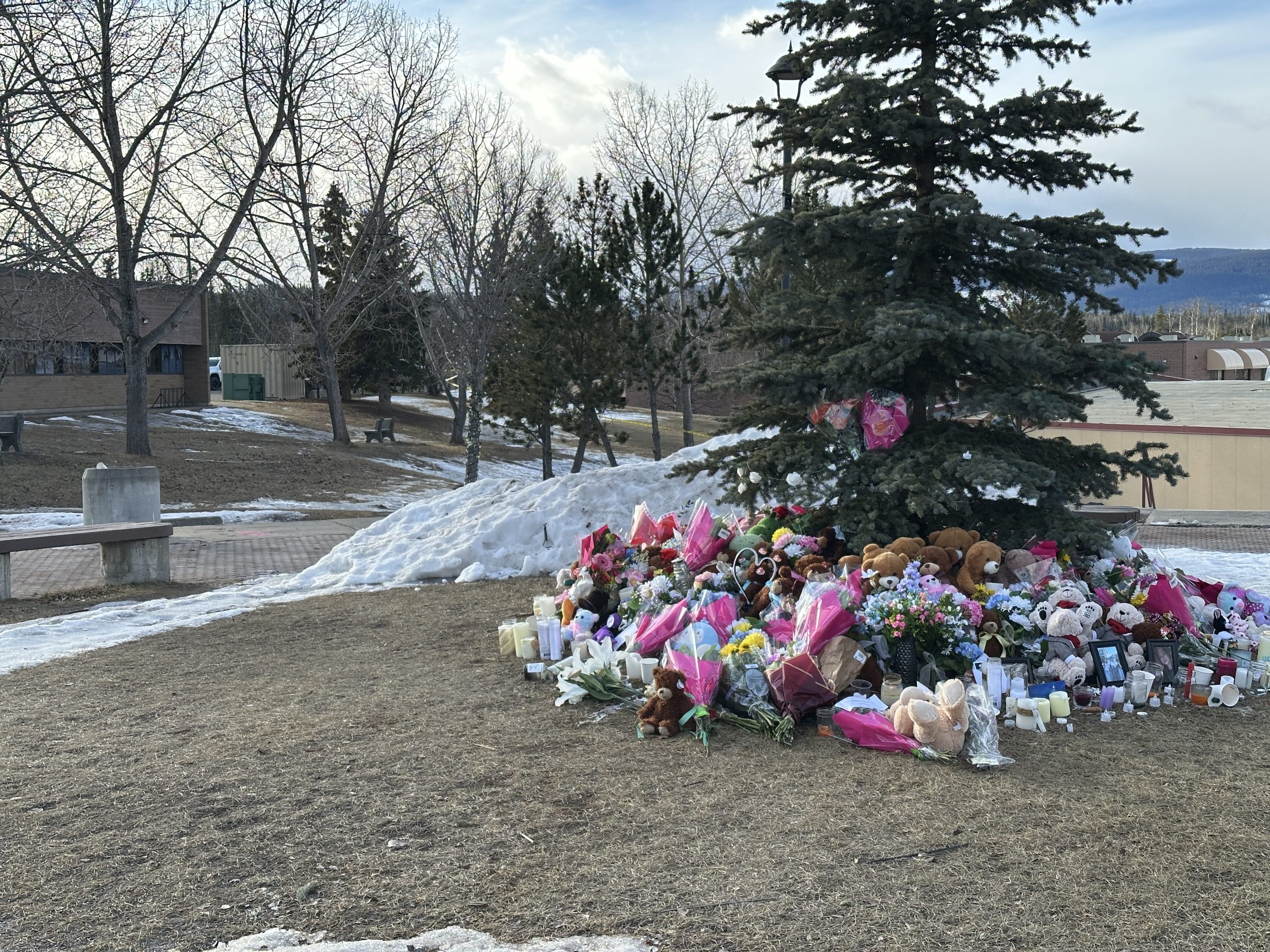 Investigation alleges ChatGPT helped Tumbler Ridge shooter plan attack; calls grow for stronger AI oversight