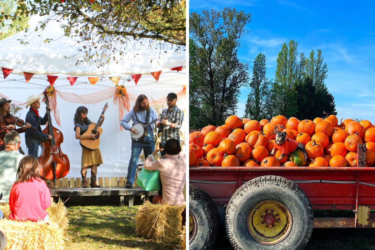 Top things to do in Metro Vancouver for Thanksgiving long weekend (Oct. 9–12)