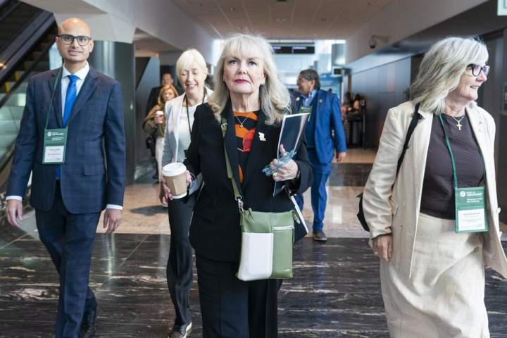 Findlay removes Halford, Rattée and Rustad from BC Conservatives caucus as election concerns grow