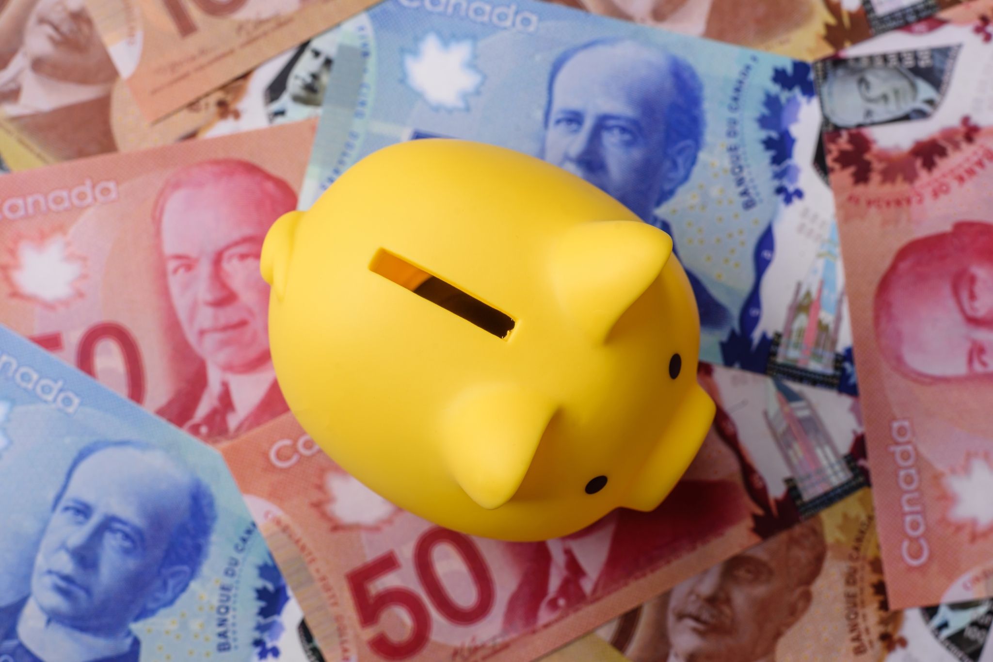 Canada ranks 22nd for financial literacy in global study by Remitly