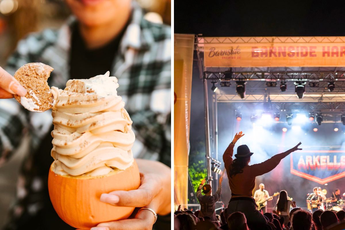 Metro Vancouver events for Sept. 8–13 include Taves Family Farms, Solar AR tour and Picklefest