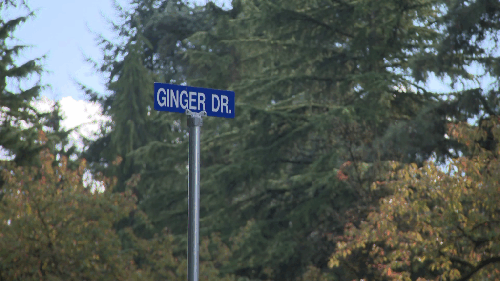 New Westminster police ask for witnesses after attempted break-and-enter on Ginger Drive