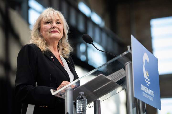 Findlay resigns as BC Conservatives leader; Doerkson appointed interim leader amid early-election speculation