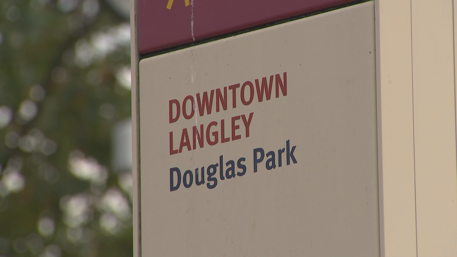 Langley man arrested and charged after alleged hate-motivated assault in Douglas Park, RCMP says