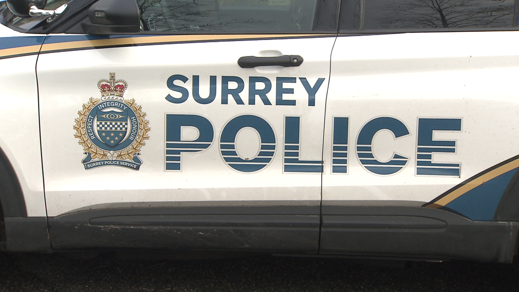 Surrey police ask former tenants to come forward after landlord charged in alleged break-in