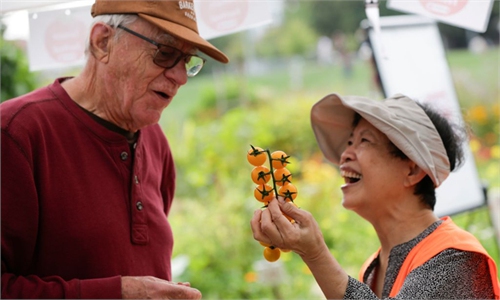 Vancouver tomato festival highlights local growers with tastings, exhibits and sales