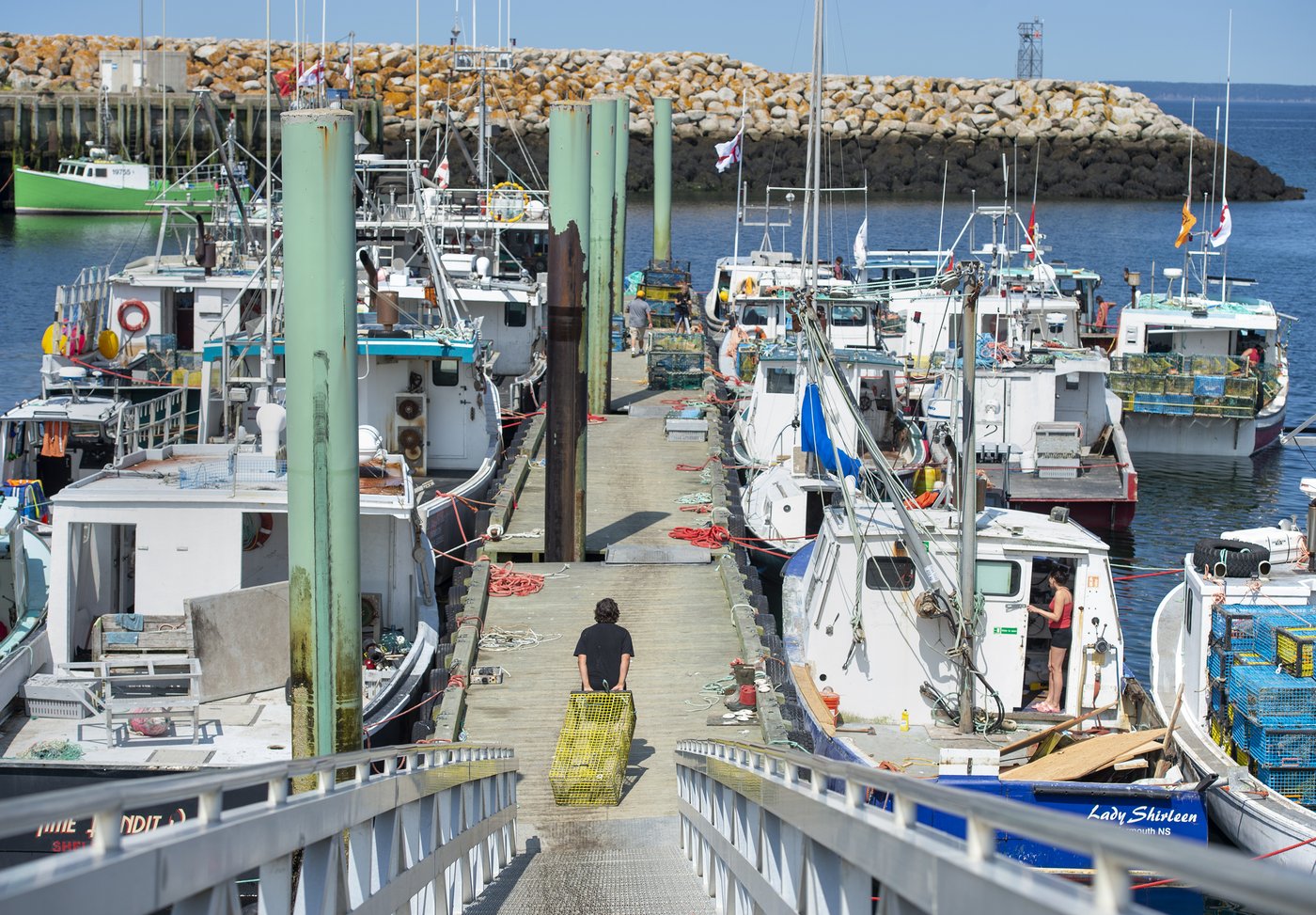 N.S. seafood processor asks court to force lobster lawsuit accuser to name harvesters and alleged conspirators