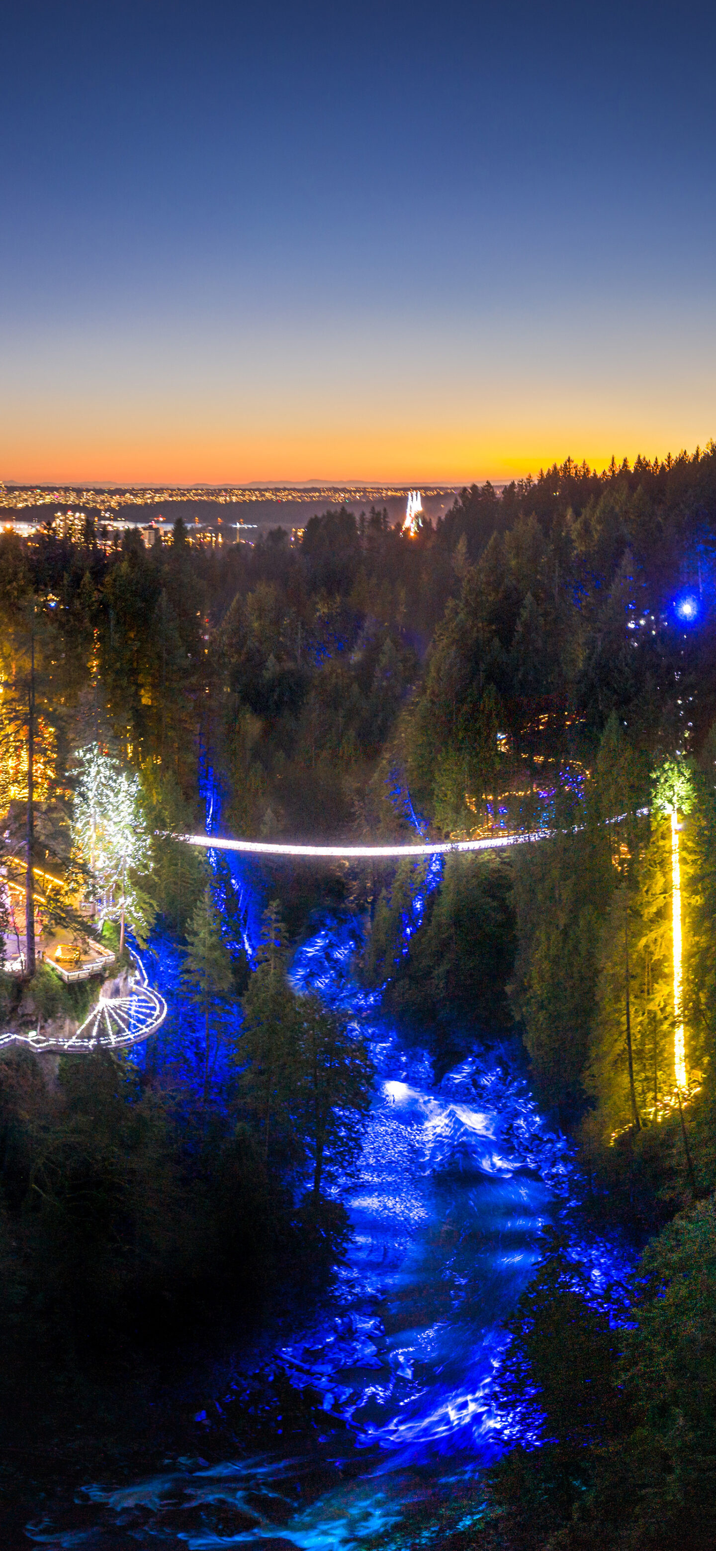 Canyon Lights returns to Capilano Suspension Bridge Park—timed entry recommended